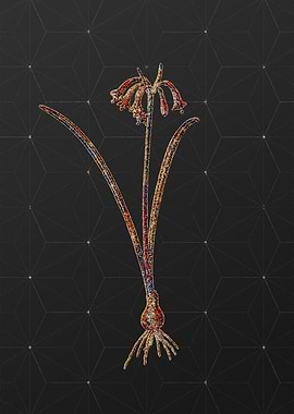 Prismatic Mosaic Botanical