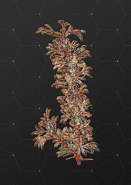 Prismatic Mosaic Botanical