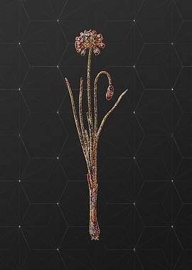 Stained Glass Botanical