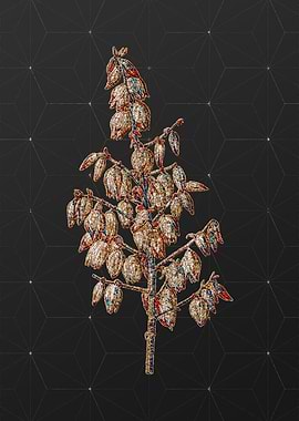 Prismatic Mosaic Botanical