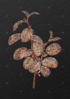 Prismatic Mosaic Botanical