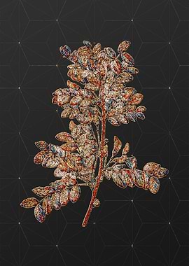 Rainbow Mosaic Botanical