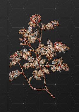 Rainbow Mosaic Botanical