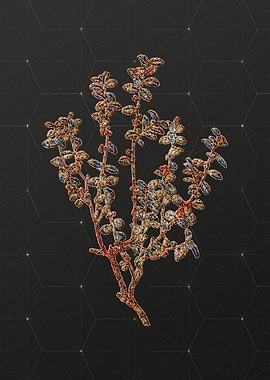 Prismatic Mosaic Botanical