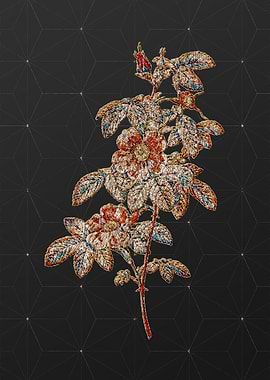 Rainbow Mosaic Botanical