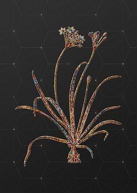 Prismatic Mosaic Botanical