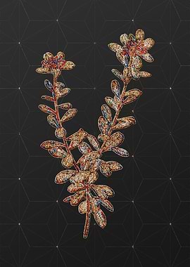 Prismatic Mosaic Botanical