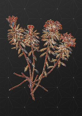 Prismatic Mosaic Floral