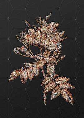 Rainbow Mosaic Botanical