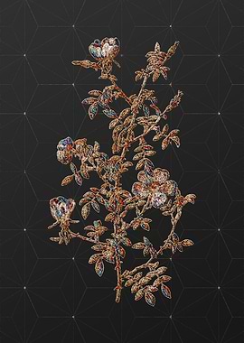 Rainbow Mosaic Botanical