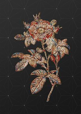 Rainbow Mosaic Botanical