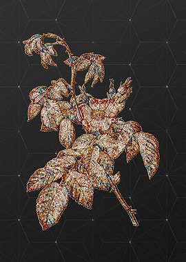 Prismatic Mosaic Floral