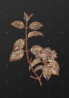 Prismatic Mosaic Floral