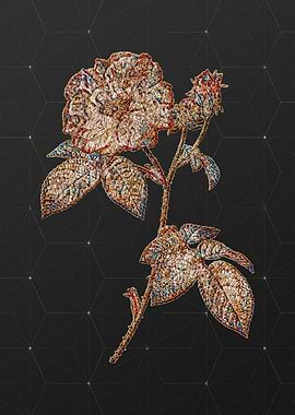 Stained Glass Botanical