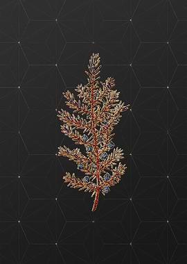 Prismatic Mosaic Botanical