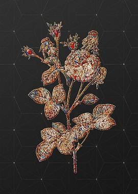 Rainbow Mosaic Botanical