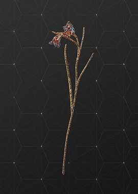 Prismatic Mosaic Botanical