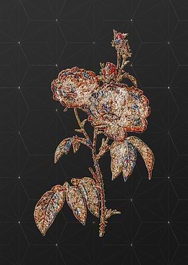 Rainbow Mosaic Botanical