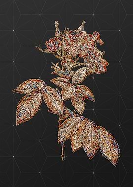 Prismatic Mosaic Floral