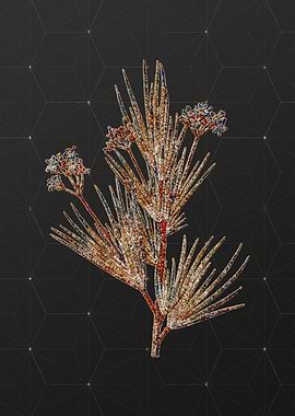 Prismatic Mosaic Botanical