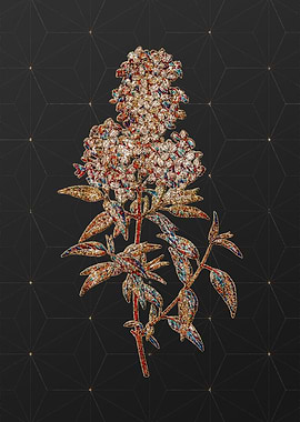 Rainbow Mosaic Botanical