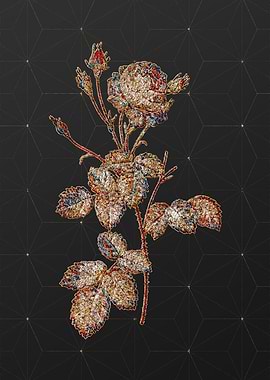 Rainbow Mosaic Botanical