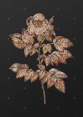 Rainbow Mosaic Botanical