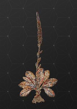 Prismatic Mosaic Floral