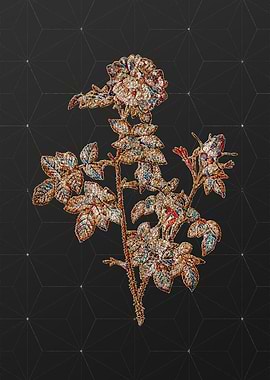 Rainbow Mosaic Botanical