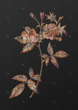 Rainbow Mosaic Botanical