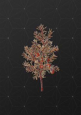 Prismatic Mosaic Botanical