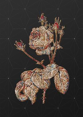 Prismatic Mosaic Floral