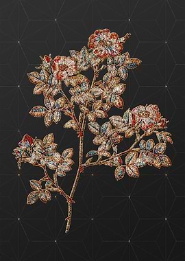 Rainbow Mosaic Botanical