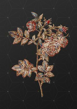 Rainbow Mosaic Botanical