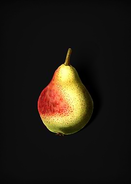 Vintage Pear