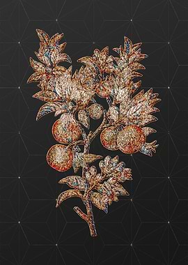 Prismatic Mosaic Floral