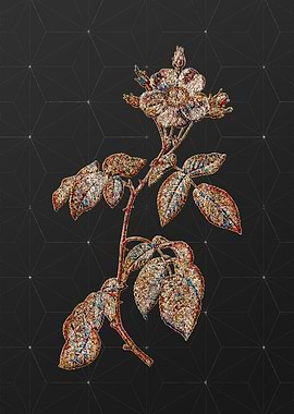 Prismatic Mosaic Floral