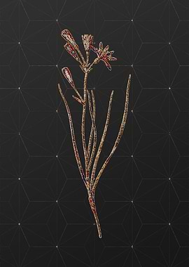 Prismatic Mosaic Botanical