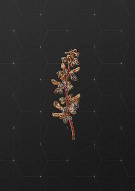 Prismatic Mosaic Botanical