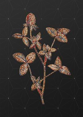 Rainbow Mosaic Botanical