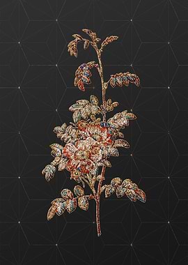 Prismatic Mosaic Floral