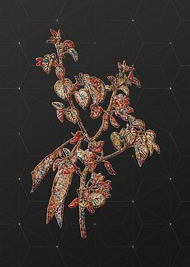 Rainbow Mosaic Botanical