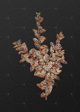 Prismatic Mosaic Botanical