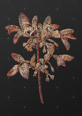 Rainbow Mosaic Botanical