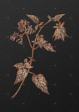Prismatic Mosaic Floral