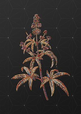 Prismatic Mosaic Botanical