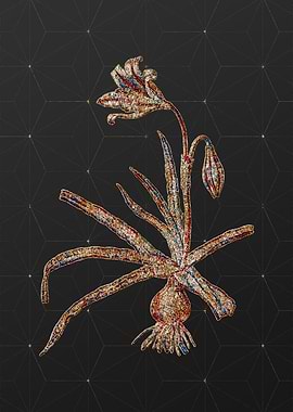 Prismatic Mosaic Botanical