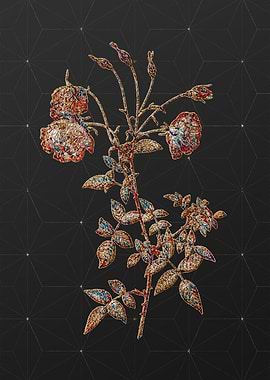 Rainbow Mosaic Botanical