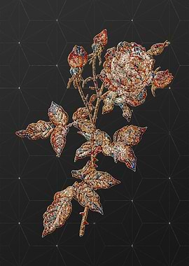 Rainbow Mosaic Botanical