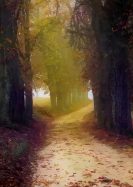 Into the Fairy Woods